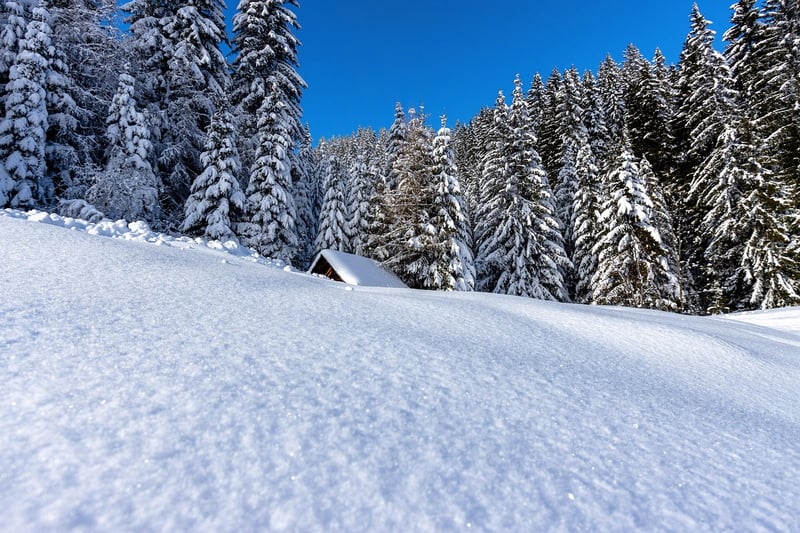 Retreat to Mountain Cabins